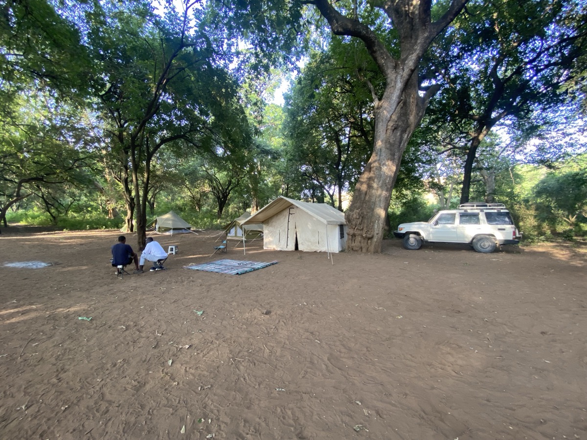 Kwegu